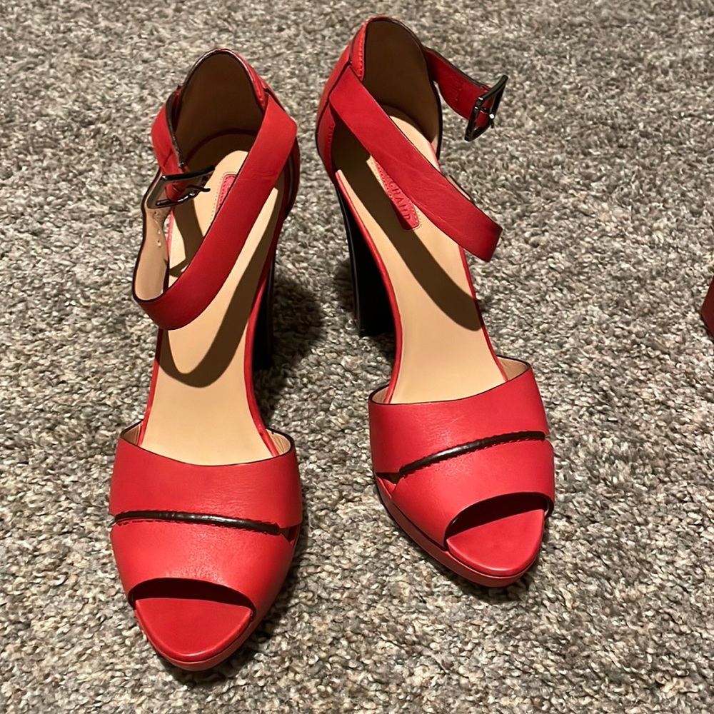 Long Champ Red heels
